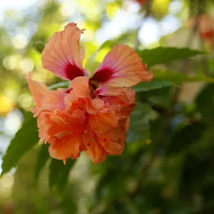 Casaluna San Andres (San Andres and Providencia Islands)